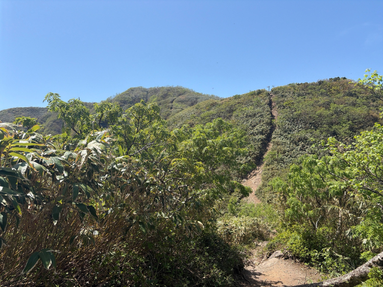 荒島岳 登山道