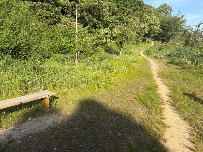 荒島岳 勝原登山道