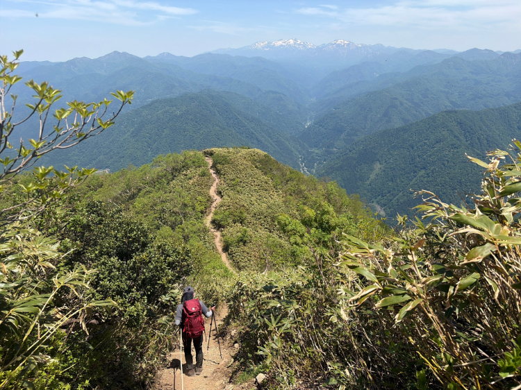 荒島岳 登山道