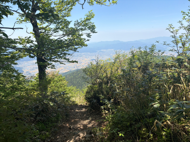 荒島岳 登山道