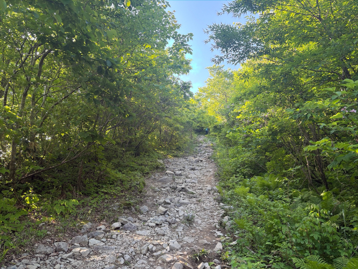 荒島岳 勝原登山道