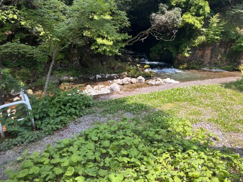 奥山の癒し処「風緑」