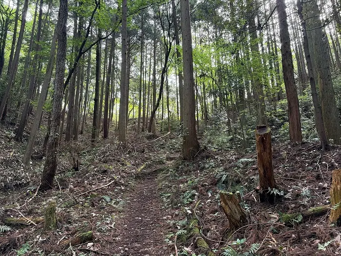誕生山