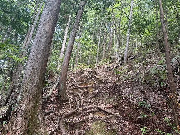 誕生山