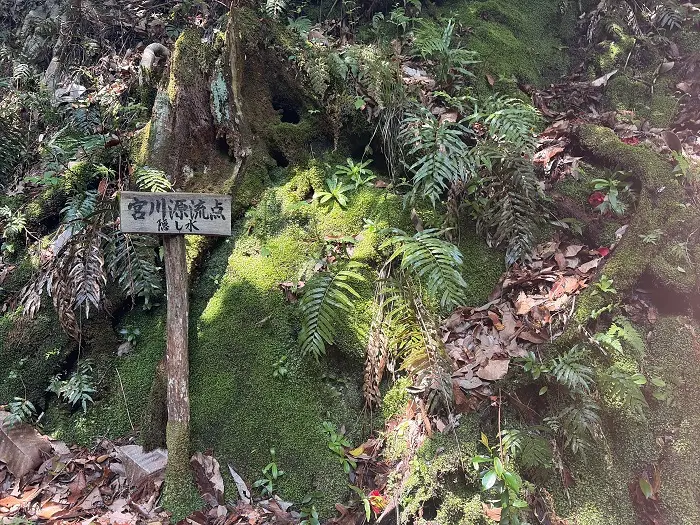 誕生山登山道　宮川の源流