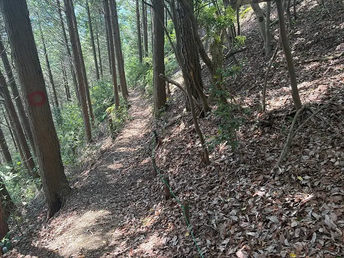 誕生山登山道