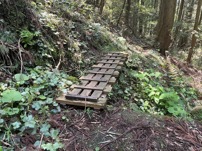 誕生山登山道