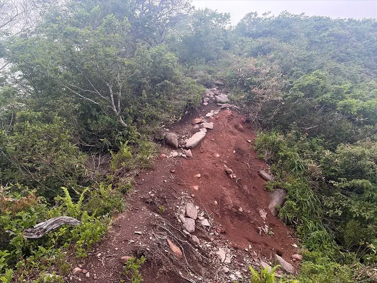 大日ヶ岳登山口 桧峠からの登山道