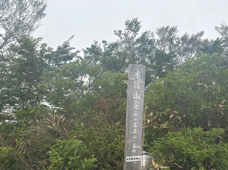 大日ヶ岳登山口 桧峠からの登山道 水後山山頂