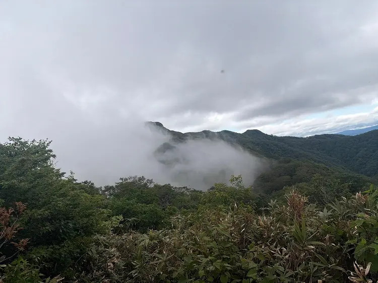 大日ヶ岳登山口 桧峠からの登山道