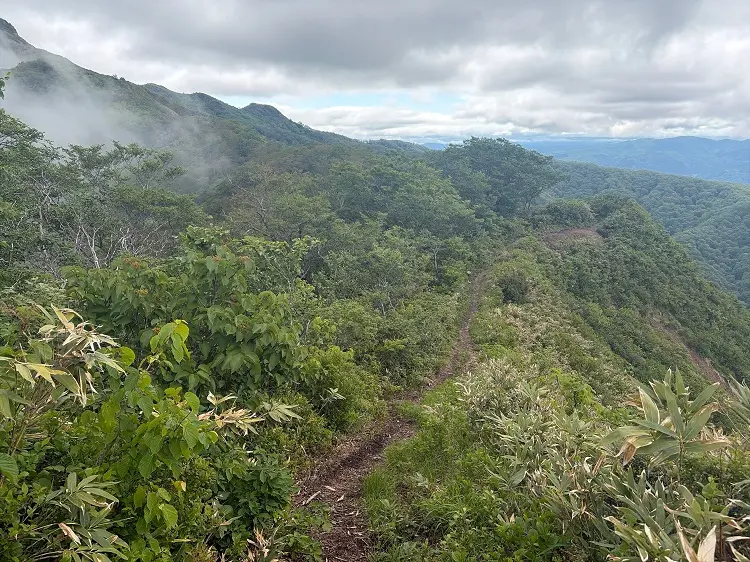 大日ヶ岳登山口 桧峠からの登山道