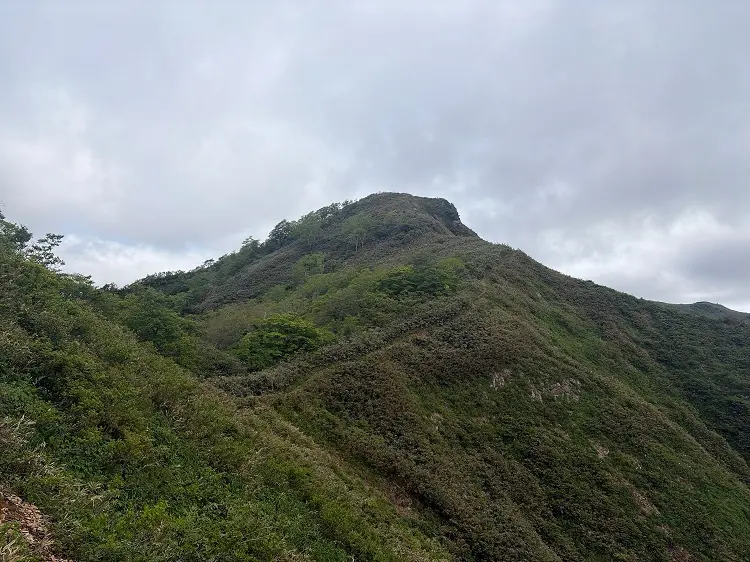大日ヶ岳登山口 桧峠からの登山道