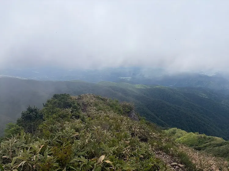 大日ヶ岳登山口 桧峠からの登山道