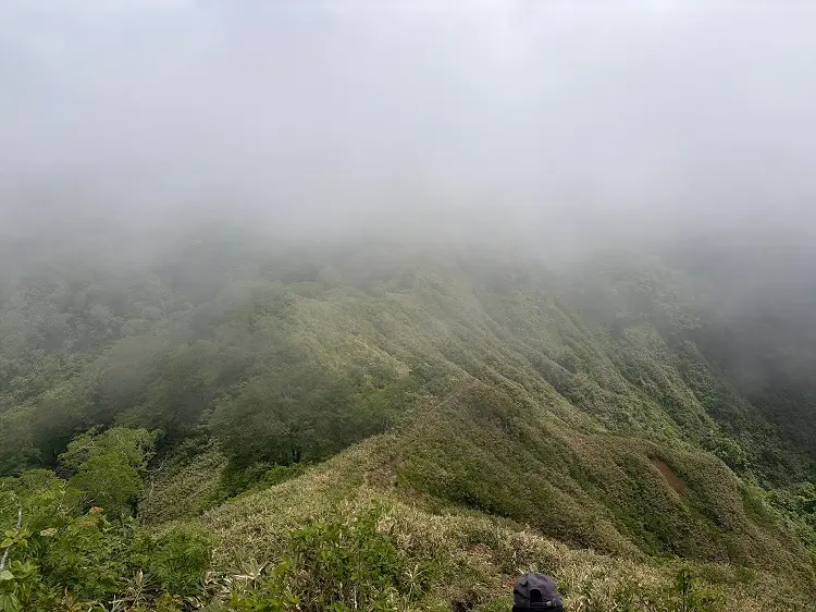 大日ヶ岳登山口 桧峠からの登山道