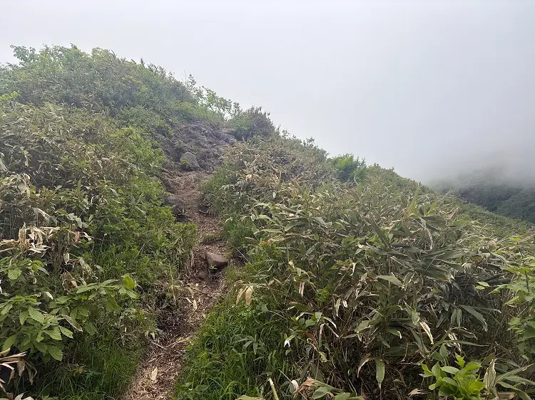大日ヶ岳登山口 桧峠からの登山道