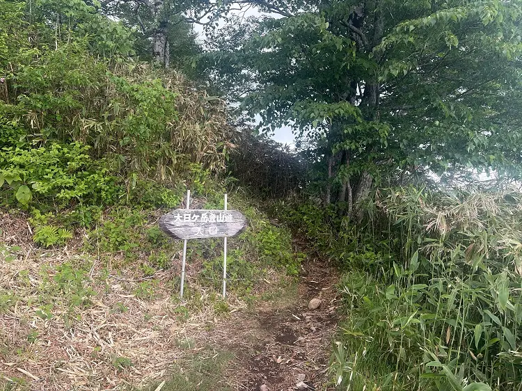 大日ヶ岳登山口 桧峠からの