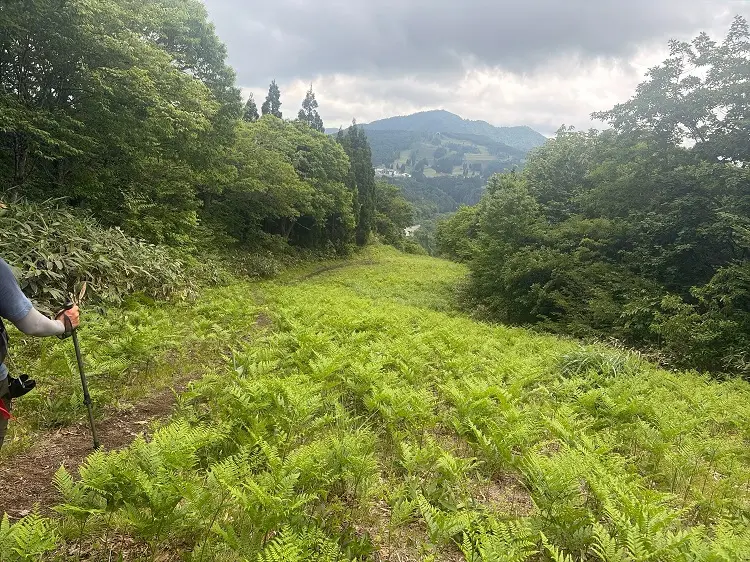 大日ヶ岳 リフト駅から桧峠方面の眺め
