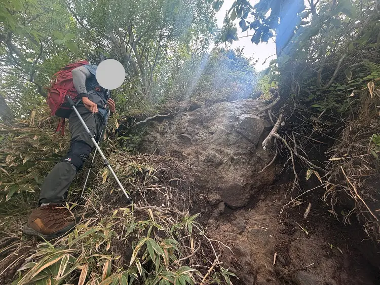 大日ヶ岳登山口 桧峠からの登山道