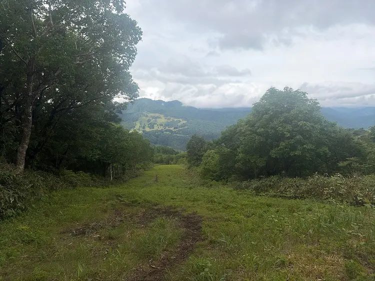大日ヶ岳登山口 桧峠方面の眺め