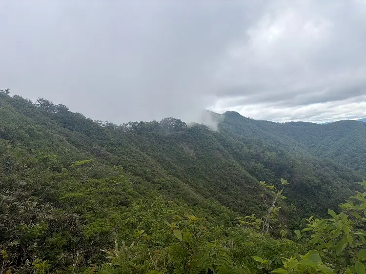 大日ヶ岳登山口 桧峠からの登山道