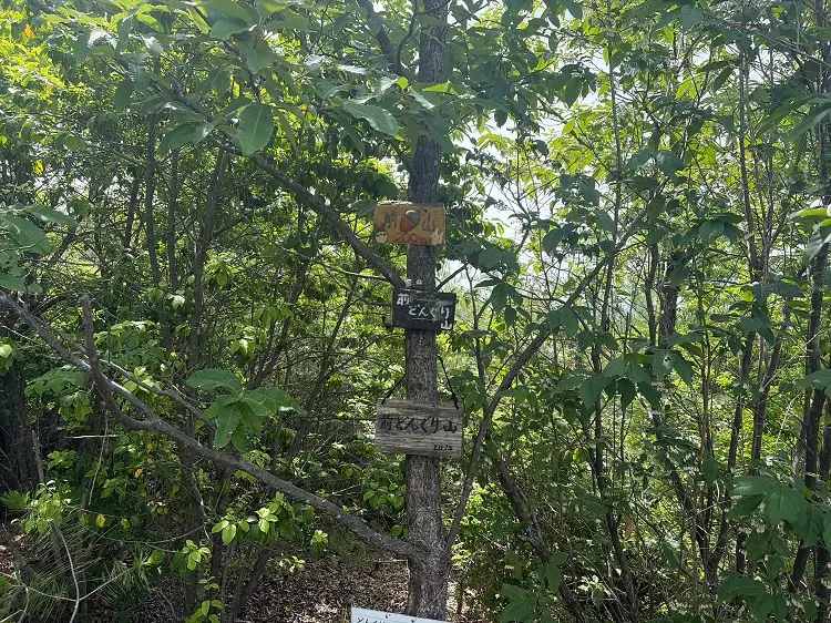 各務原アルプス 前どんぐり山
