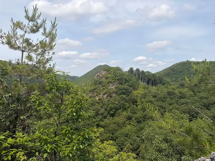各務原アルプス 前どんぐり山