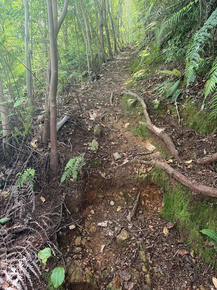 各務原アルプス 権現山への登山道