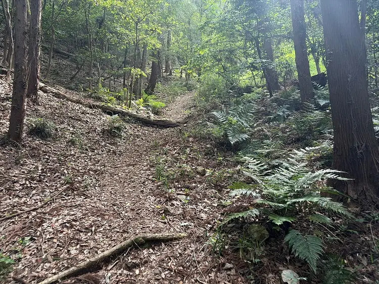 各務原アルプス 向山への登山道