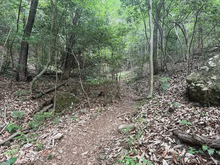 各務原アルプス 前どんぐり山へ