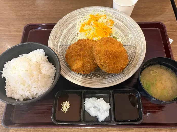 多賀サービスエリア下り 車中泊